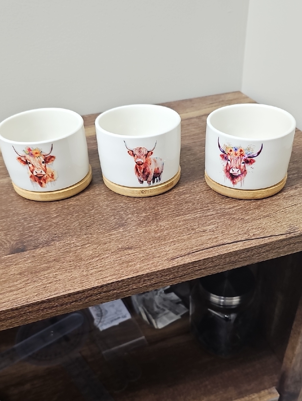 Ceramic Cow Print Planter Set with Wood Base - White
